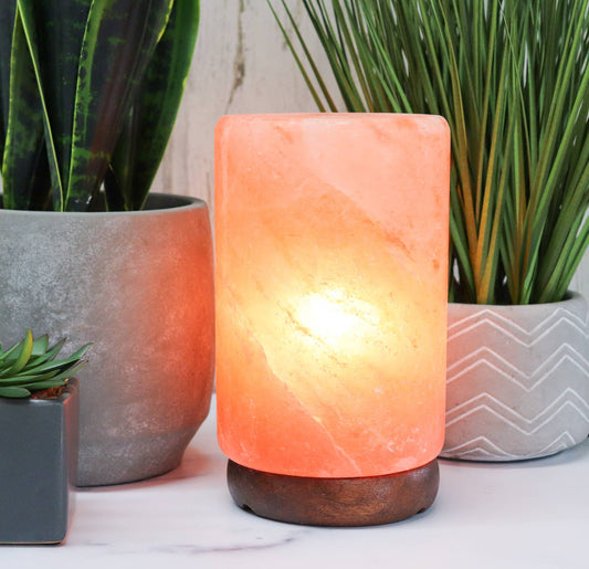 Himalayan Salt Cylinder Shape Lamp 8"